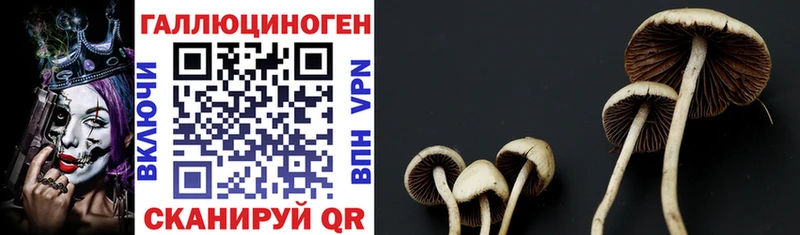 hydra ССЫЛКА  площадка как зайти  Галлюциногенные грибы GOLDEN TEACHER  Карачаевск 